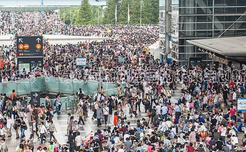 樱花漫画下拉式观看网站